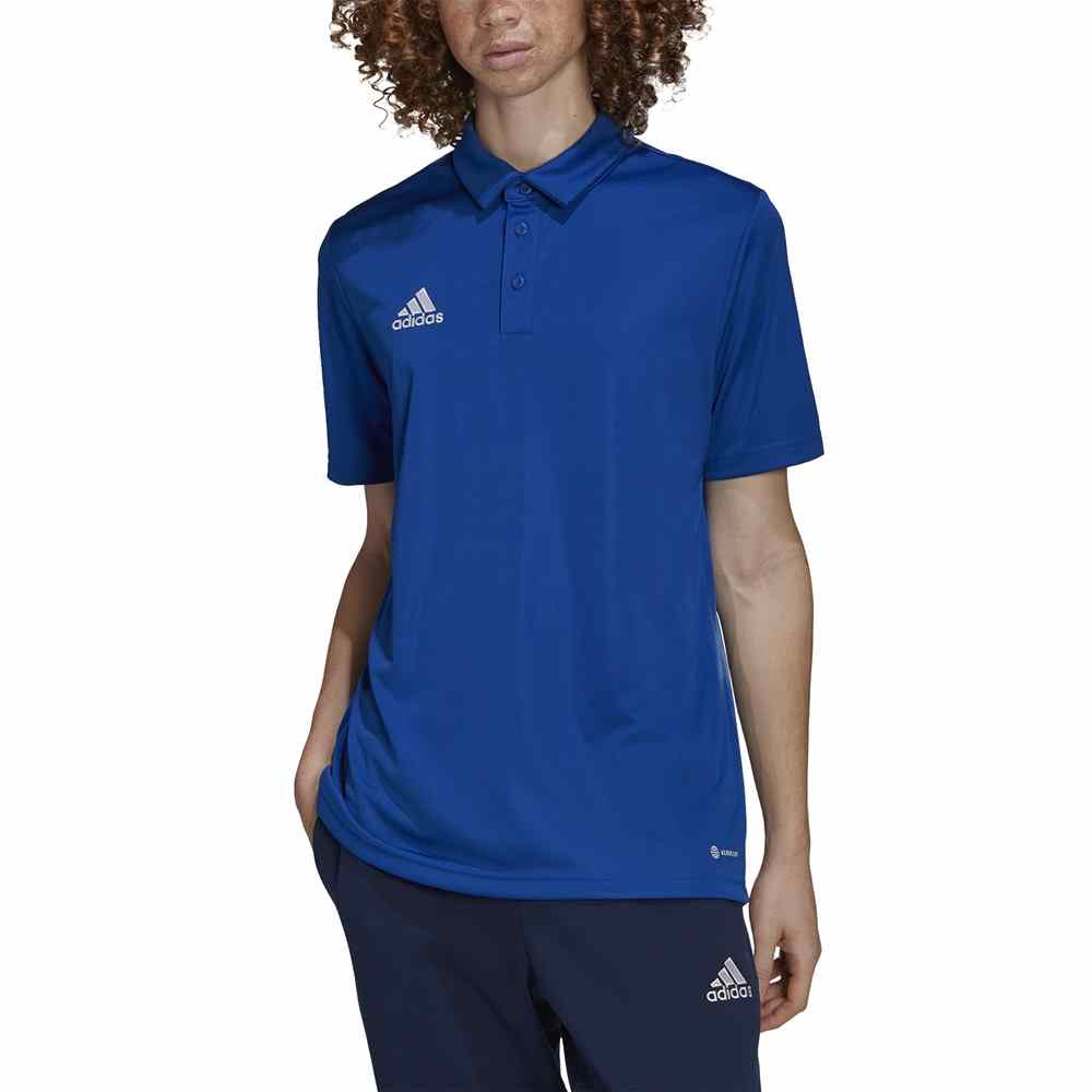 Adidas Entrada 22 Polo shirt