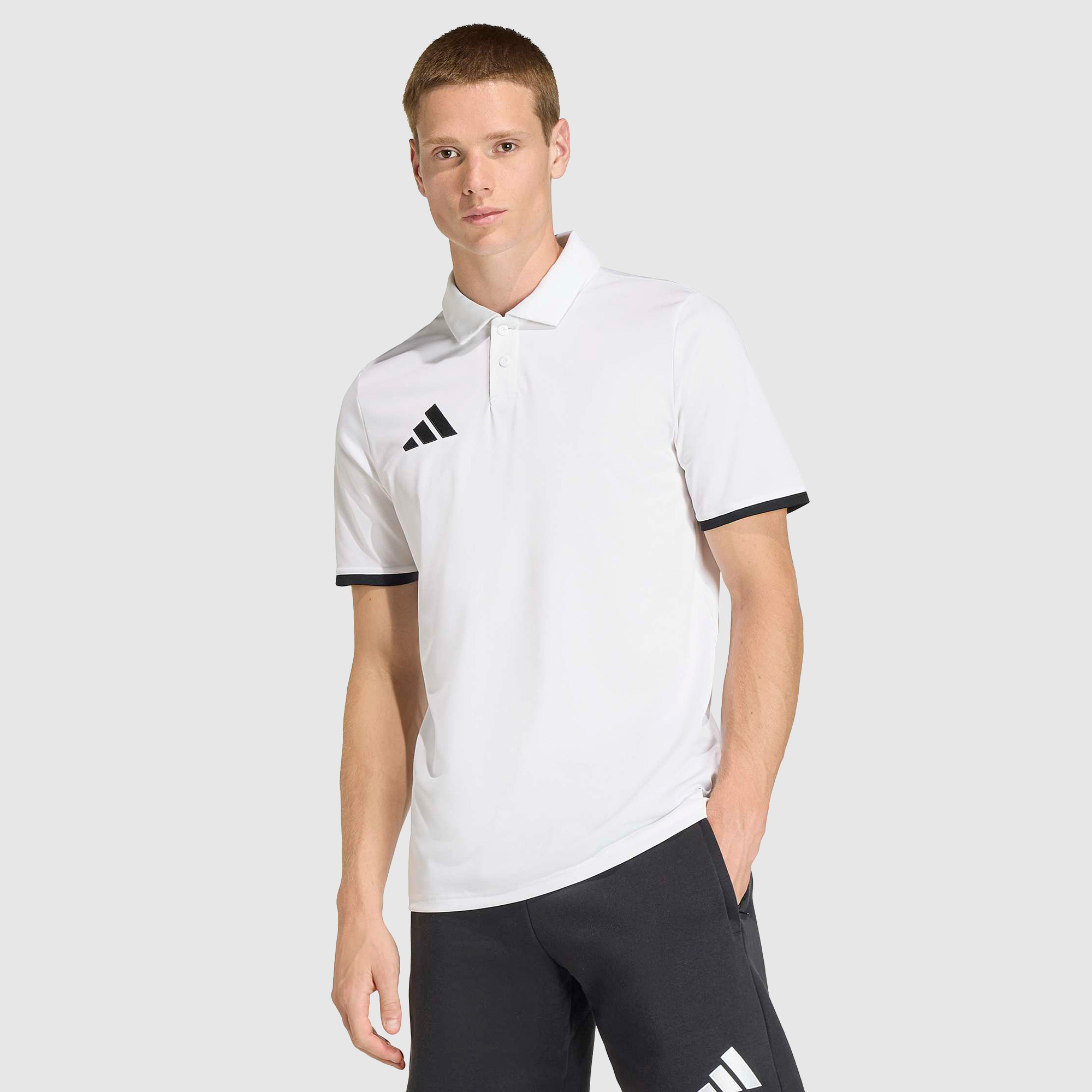 adidas Entrada 26 Polo Shirt White