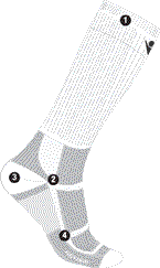 calf detail sock